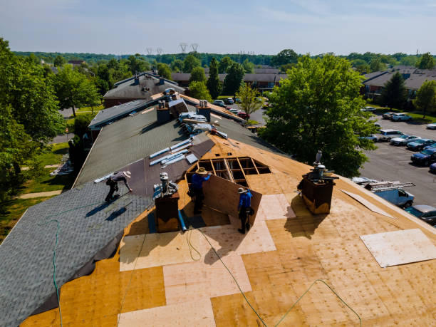 Best Flat Roof Repair Services  in Fanwood, NJ